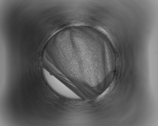 X0000096401361200802211154