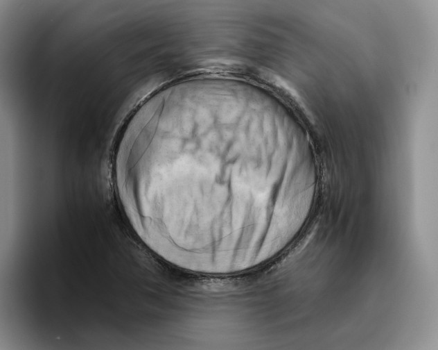 X0000096401362200802211154