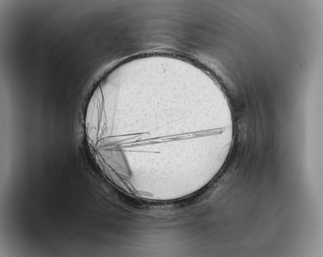 X0000096401363200802211154