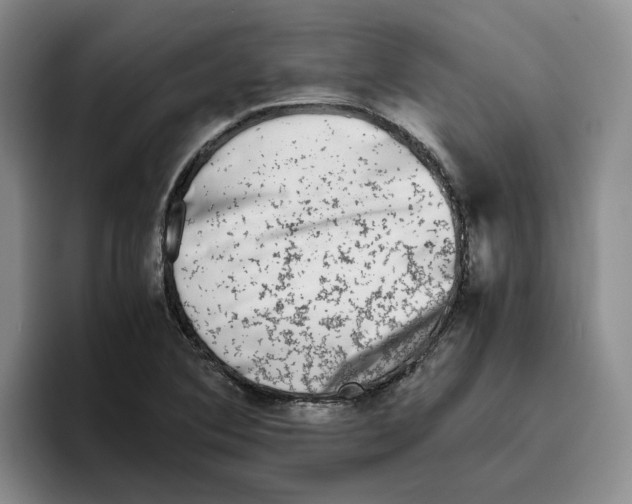 X0000096401364200802211154