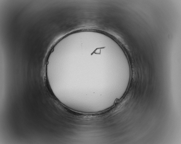 X0000096401366200802211154