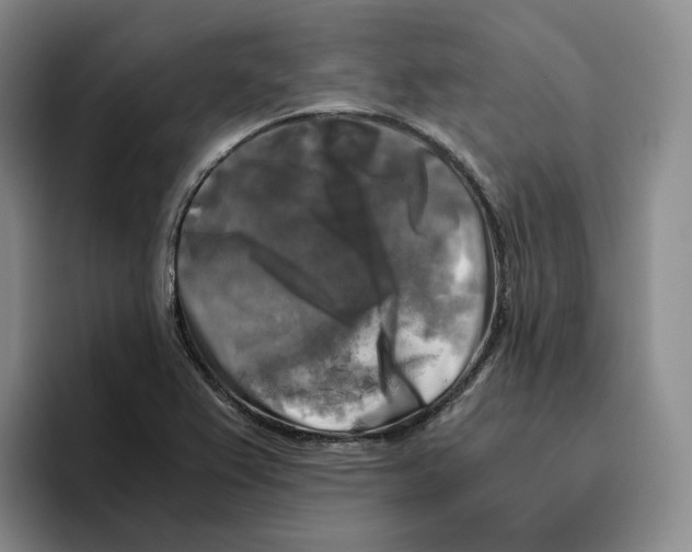 X0000096401367200802211154