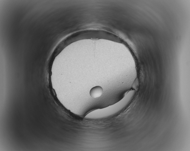 X0000096401368200802211154