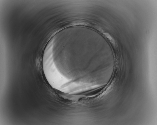 X0000096401369200802211154