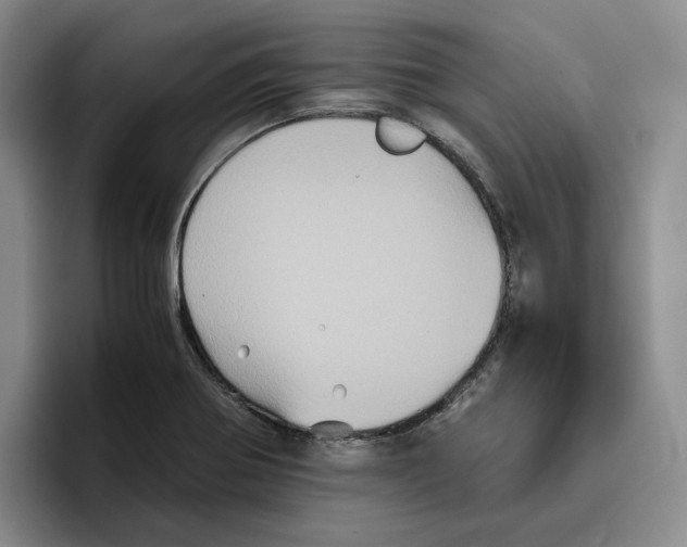 X0000096401370200802211154