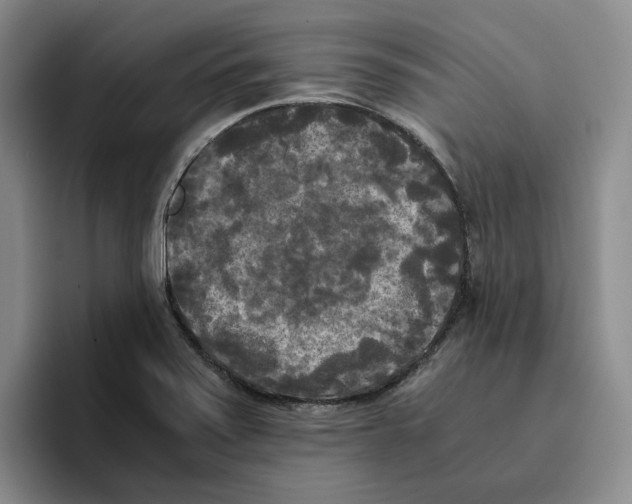 X0000096401371200802211154