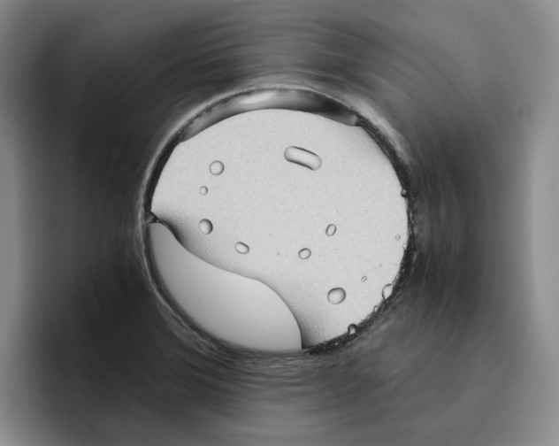 X0000096401372200802211154