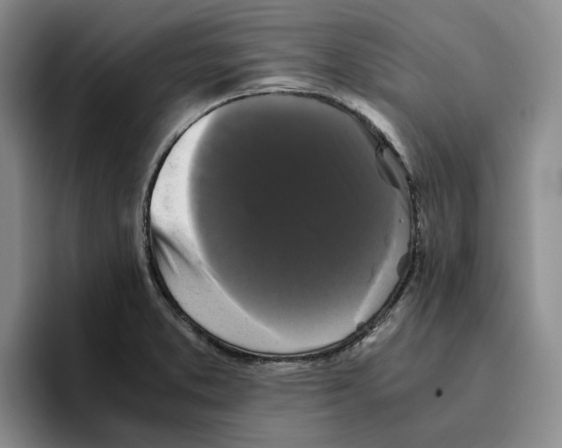 X0000096401373200802211154