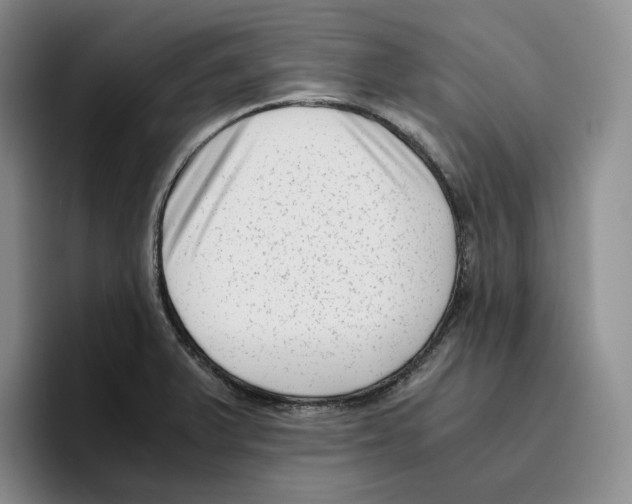 X0000096401375200802211154