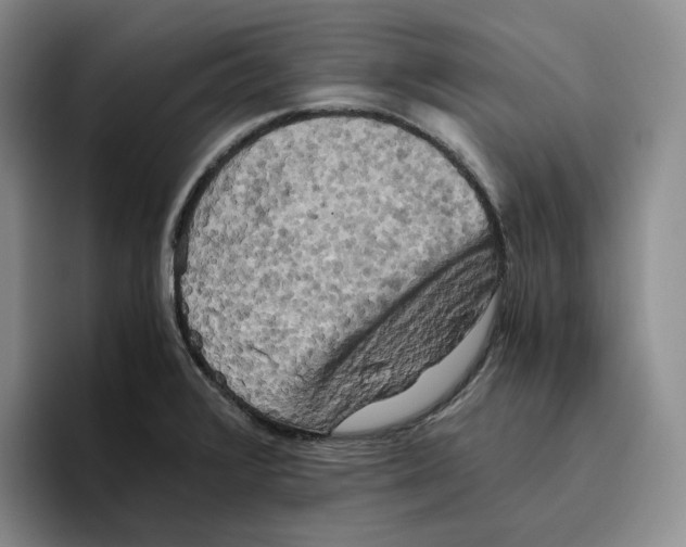 X0000096401376200802211154