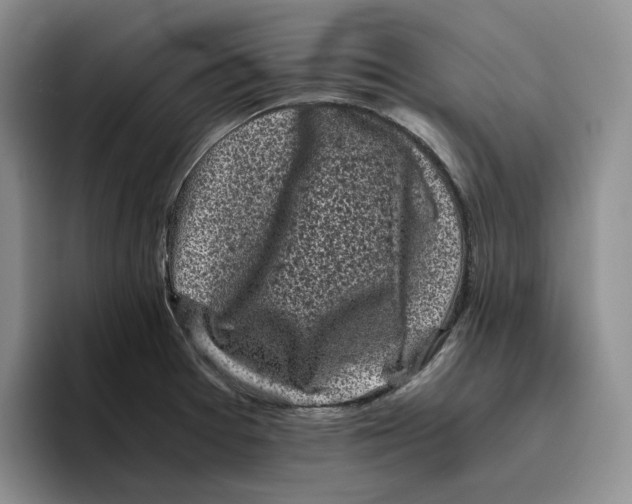 X0000096401377200802211154