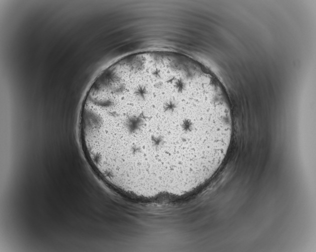 X0000096401379200802211154