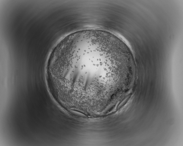 X0000096401381200802211154