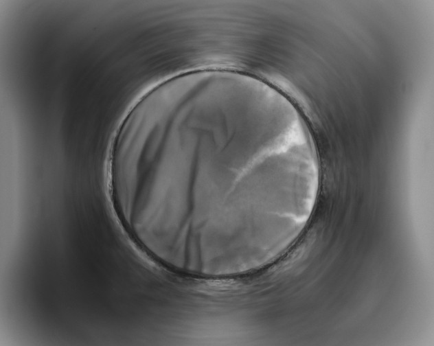 X0000096401383200802211154