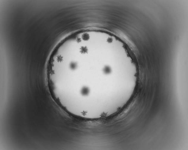 X0000096401384200802211154