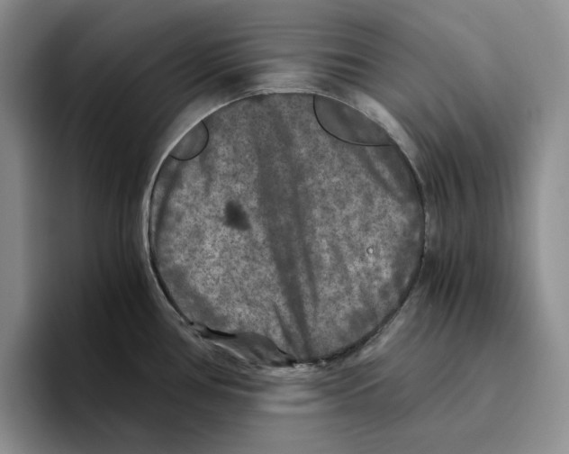 X0000096401386200802211154