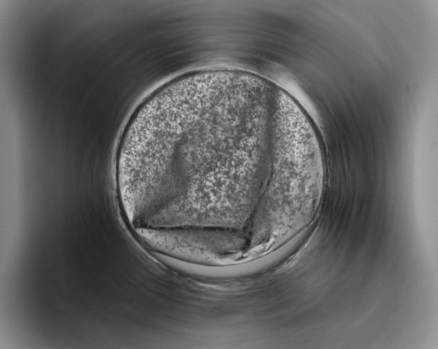 X0000096401388200802211154