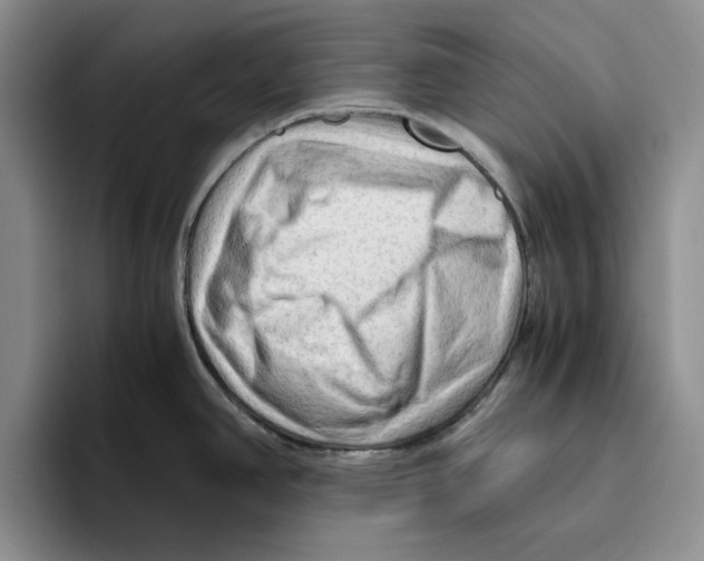 X0000096401390200802211154