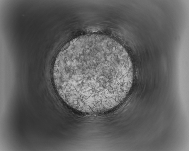 X0000096401393200802211153