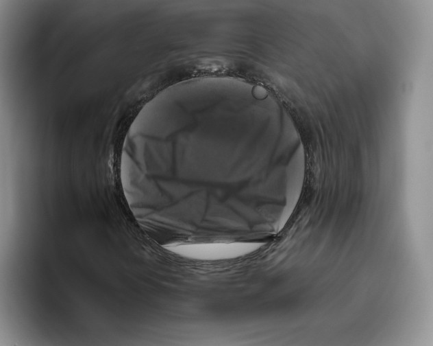 X0000096401394200802211153