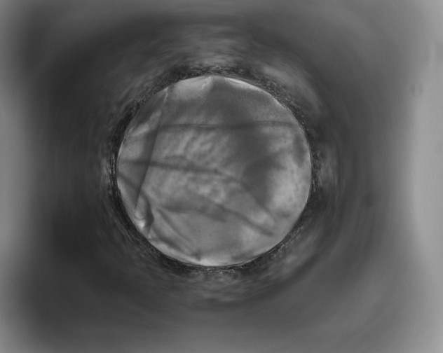 X0000096401397200802211153