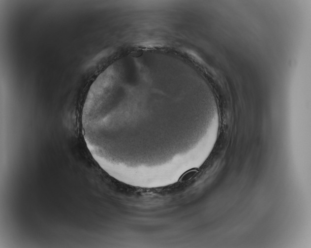 X0000096401398200802211153