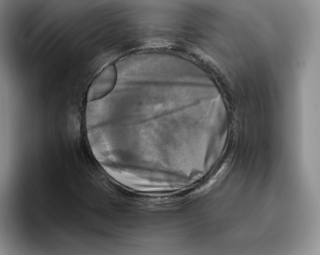 X0000096401401200802211153