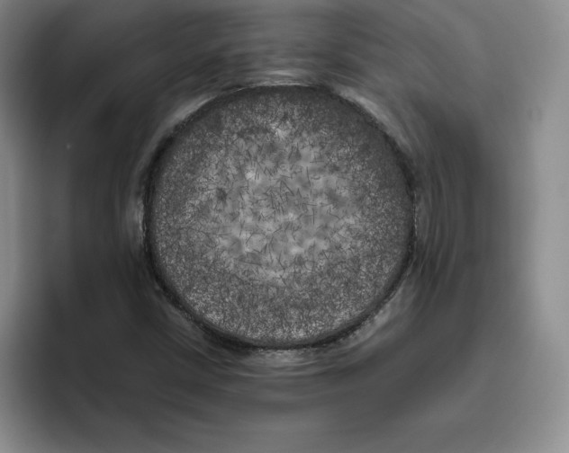 X0000096401402200802211153