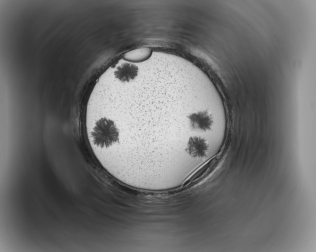 X0000096401403200802211153