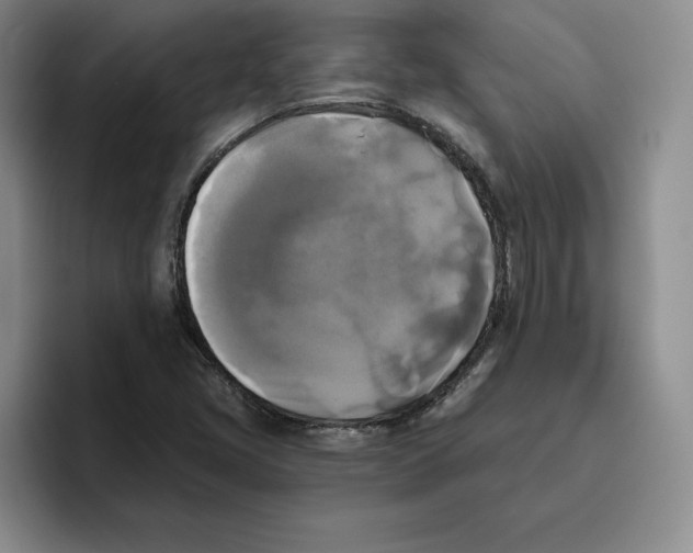 X0000096401405200802211153