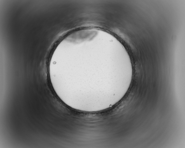 X0000096401408200802211153