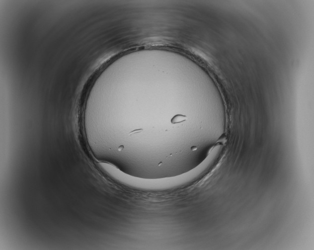 X0000096401410200802211153