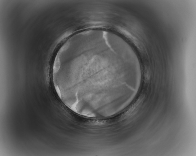 X0000096401411200802211153