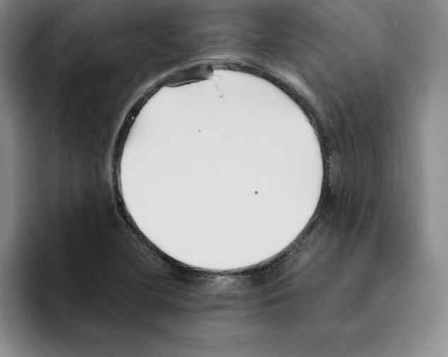 X0000096401412200802211153