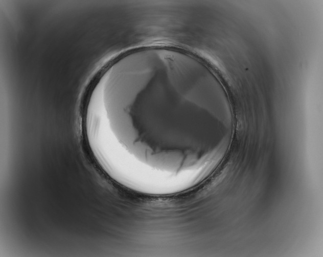 X0000096401414200802211154