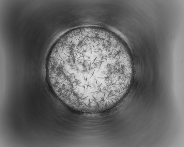 X0000096401415200802211154