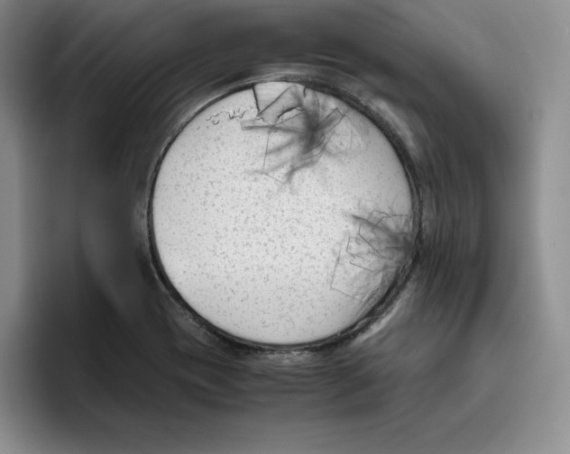 X0000096401417200802211154