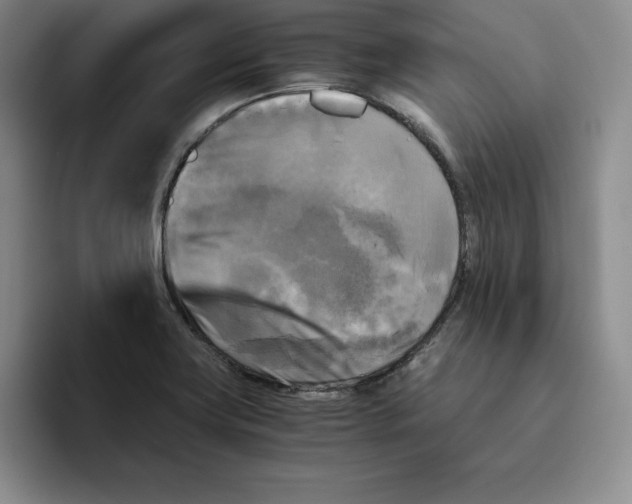 X0000096401419200802211154