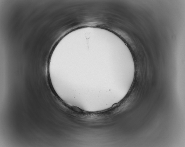 X0000096401420200802211154