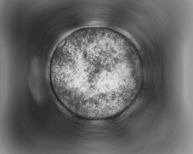X0000096401421200802211154