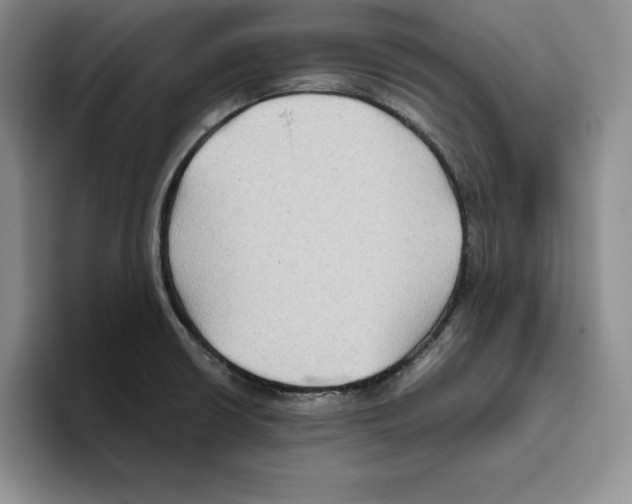 X0000096401426200802211154