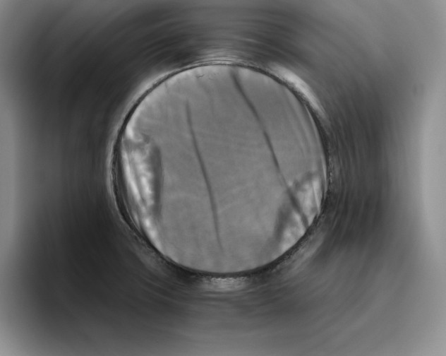 X0000096401427200802211154