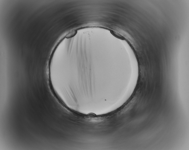 X0000096401428200802211154