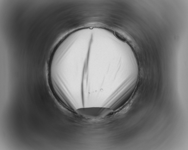 X0000096401430200802211154