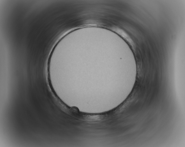 X0000096401431200802211154