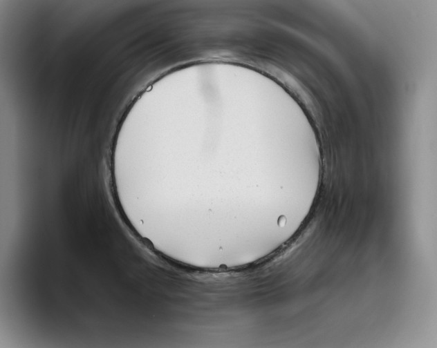 X0000096401432200802211154