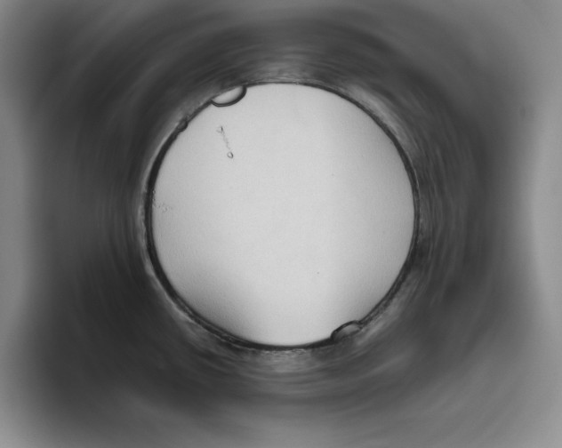 X0000096401434200802211154