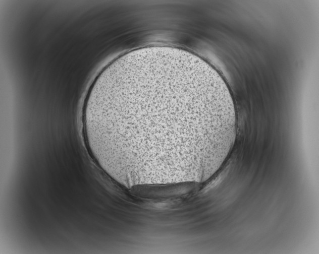 X0000096401435200802211154