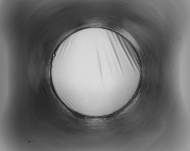 X0000096401436200802211154