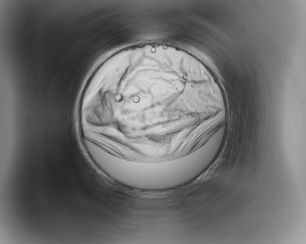 X0000096401440200802211154